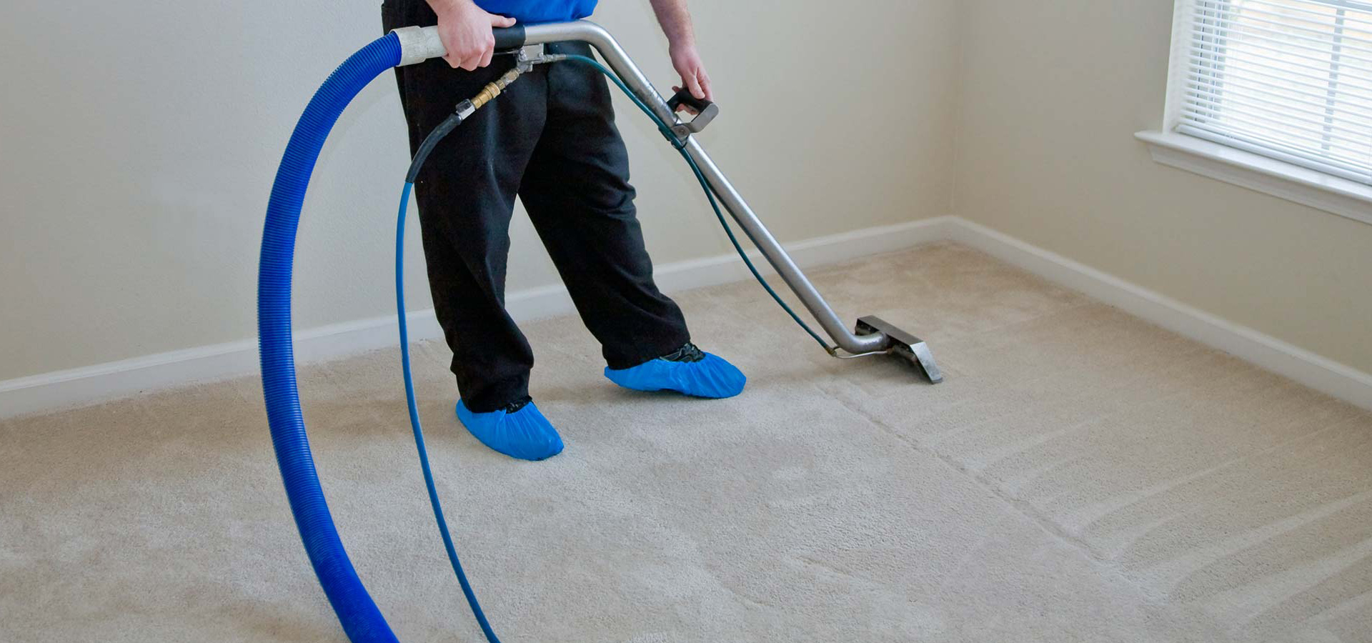 Professional Cleaners Sydney