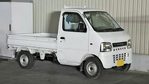 Suzuki Carry Alternator